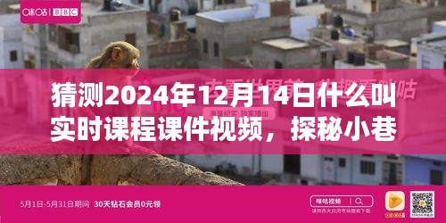 探秘實(shí)時(shí)課程課件視頻，小巷深處的寶藏與特色小店的奇妙邂逅，2024年12月14日的探索之旅