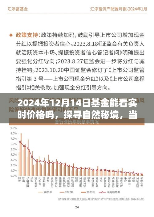 探尋自然秘境與基金實(shí)時(shí)價(jià)格之旅，一場(chǎng)心靈與財(cái)富的奇妙交融