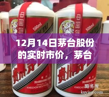 茅臺(tái)股份實(shí)時(shí)市價(jià)與心靈平和之旅，與自然美景的邂逅