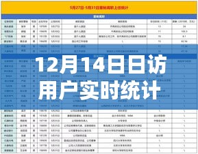 12月14日用戶實(shí)時(shí)統(tǒng)計(jì)全攻略，日訪用戶分析任務(wù)一步步完成