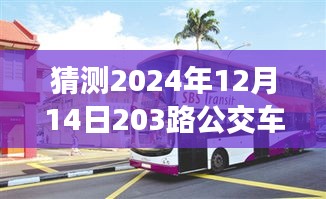 探尋未來(lái)美景，啟程心靈之旅，公交203路帶你共舞自然之間——預(yù)測(cè)2024年12月14日實(shí)時(shí)路線體驗(yàn)報(bào)告