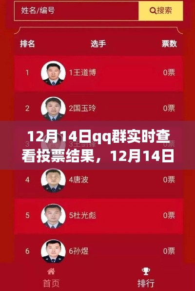 12月14日QQ群實(shí)時(shí)投票結(jié)果查看功能深度評(píng)測(cè)與介紹