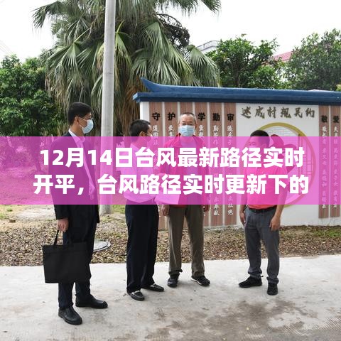 臺風(fēng)路徑實時更新決策考量，以12月14日為例的探討