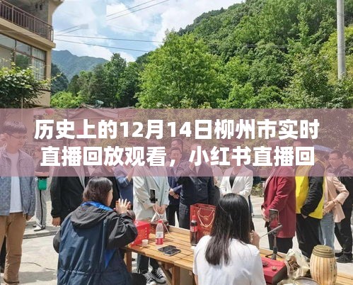 柳州市歷史時(shí)刻探尋，12月14日直播回放與值得銘記的瞬間