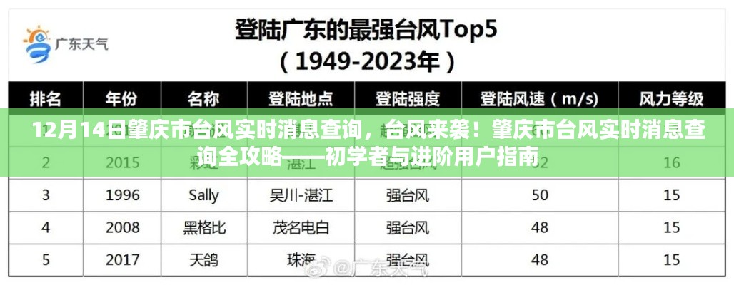 肇慶市臺風來襲實時消息查詢全攻略，初學者與進階指南（臺風實時消息查詢）