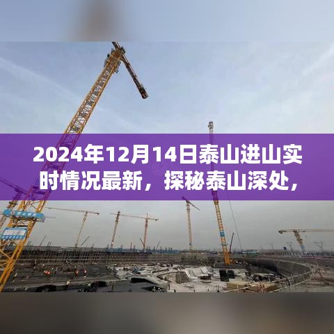 探秘泰山深處，小巷特色小店與最新進山實時情況揭秘