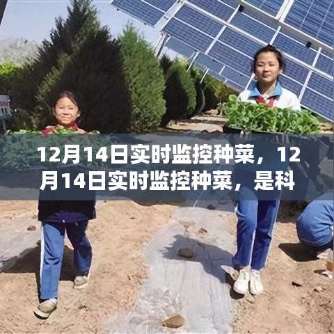 科技賦能還是過度干預(yù)？種菜實(shí)時監(jiān)控引發(fā)爭議。