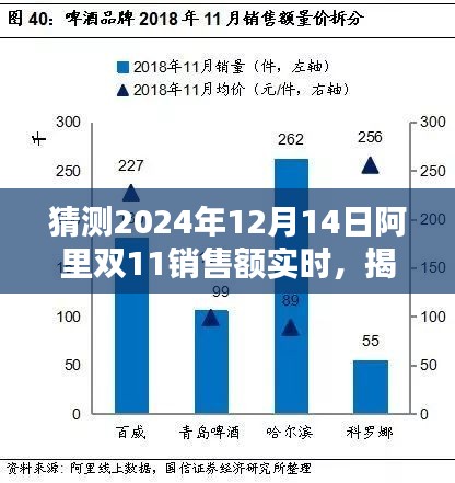 揭秘小巷深處的獨(dú)特小店，預(yù)測(cè)阿里雙11 2024年銷售額狂歡盛宴的實(shí)時(shí)動(dòng)態(tài)分析報(bào)告（雙11銷售數(shù)據(jù)預(yù)測(cè)）