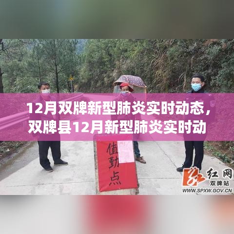雙牌縣十二月新型肺炎實時動態(tài)概覽，背景、進展與影響分析