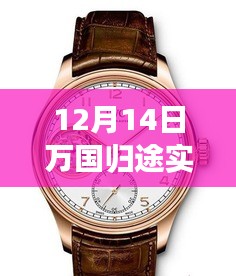 12月14日萬國歸途實時票房深度解析，表現、特性、體驗、競品對比及用戶群體全面剖析