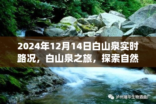 白山泉之旅，探索自然美景，實(shí)時(shí)路況更新與內(nèi)心平靜的追尋