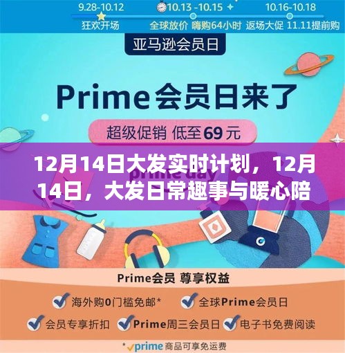 12月14日大發(fā)日常趣事與暖心陪伴的實(shí)時(shí)計(jì)劃