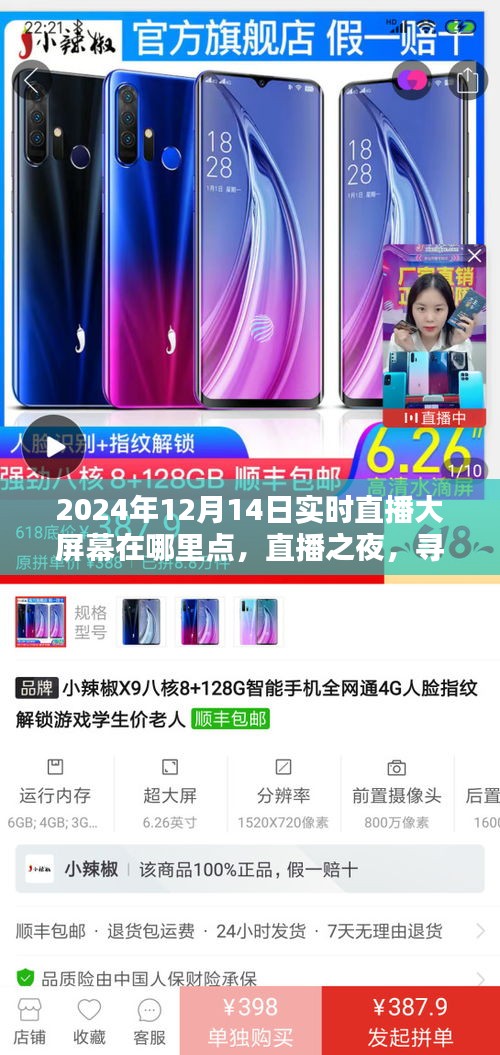 直播之夜，尋找特別的實時陪伴，2024年12月14日直播大屏幕地點揭曉