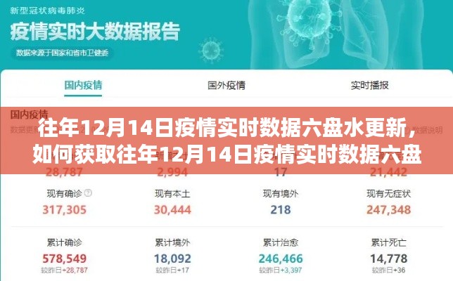 往年12月14日六盤水疫情實(shí)時(shí)數(shù)據(jù)更新指南，獲取步驟詳解