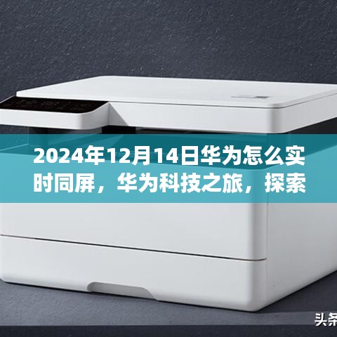 華為科技之旅，實時同屏探索自然美景的寧靜之旅（2024年12月14日）