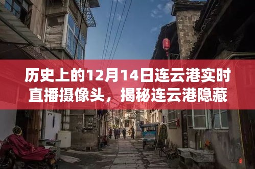 揭秘美食秘境，連云港隱藏小巷的實時直播探索之旅（附日期，12月14日）
