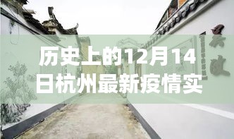 杭州疫情實時更新，歷史背景下的暖心角落與小巷獨特風(fēng)情探索