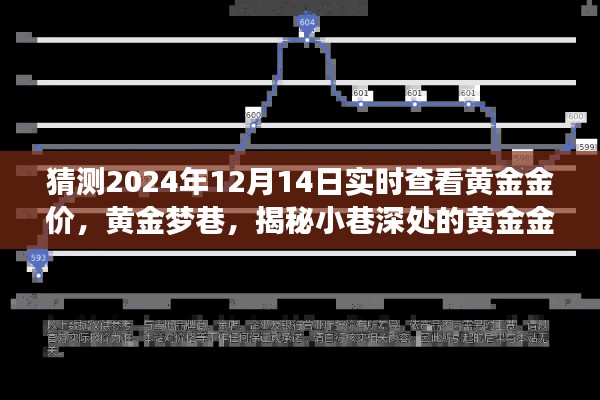 揭秘黃金夢巷，黃金金價預測小站實時查看，預測未來黃金走勢（2024年12月14日）