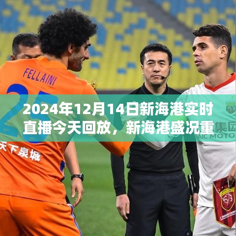 2024年12月14日新海港盛況重現(xiàn)，實(shí)時(shí)直播日回顧與回放
