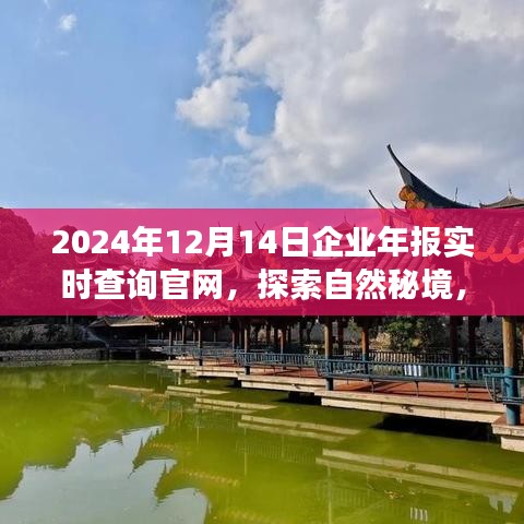 探索自然秘境，啟程尋找內(nèi)心寧靜與平和，企業(yè)年報實時查詢官網(wǎng)，開啟您的2024年報查詢之旅