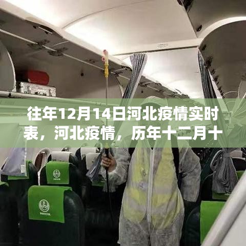 歷年十二月十四日河北疫情深度回顧與影響分析，實時數(shù)據(jù)報告及觀察報告
