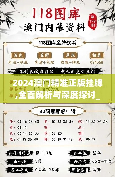 2024澳門精準(zhǔn)正版掛牌,全面解析與深度探討_專業(yè)版6.453