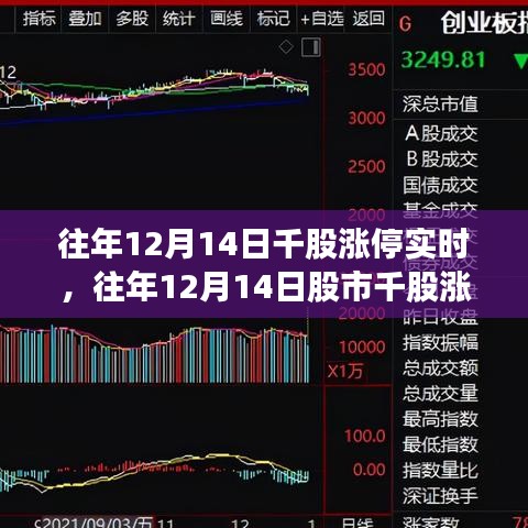 回顧往年12月14日股市千股漲停盛況，市場走勢分析與策略解讀