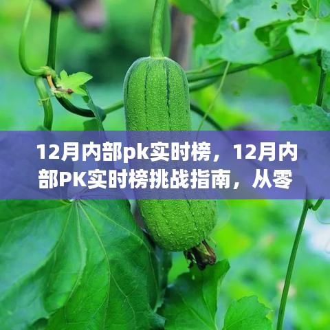 從零起步到高手的進階之路，12月內(nèi)部PK實時榜挑戰(zhàn)指南