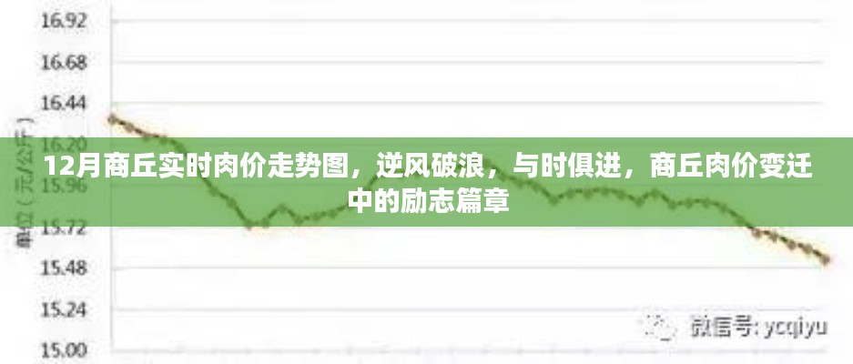 商丘肉價變遷，逆風破浪的勵志篇章與實時走勢解析