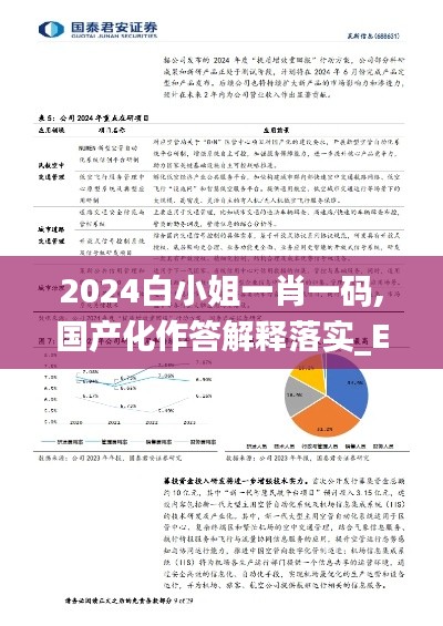 2024白小姐一肖一碼,國產化作答解釋落實_Elite9.945