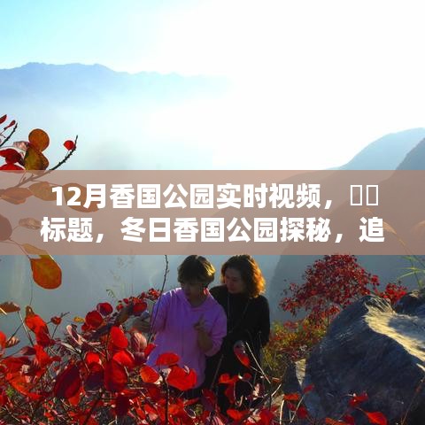 冬日香國(guó)公園實(shí)時(shí)探秘，追尋自然魔法與內(nèi)心寧?kù)o的旅程