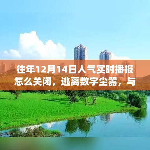 如何關(guān)閉人氣實(shí)時播報，尋找自然美景之旅，逃離數(shù)字塵囂的指南