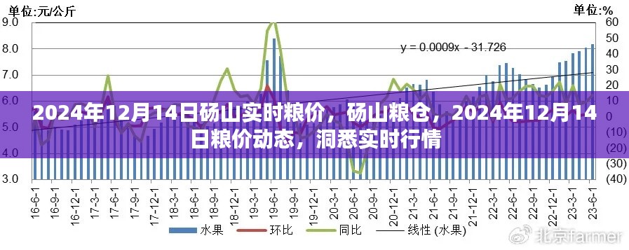 碭山實(shí)時(shí)糧價(jià)動(dòng)態(tài)，洞悉行情，掌握未來(lái)