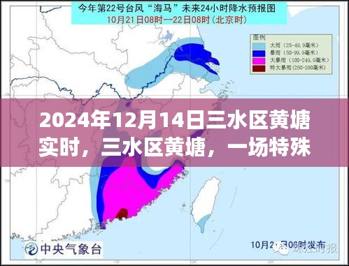 三水區(qū)黃塘，特殊時(shí)刻的回顧與記錄（2024年12月14日）