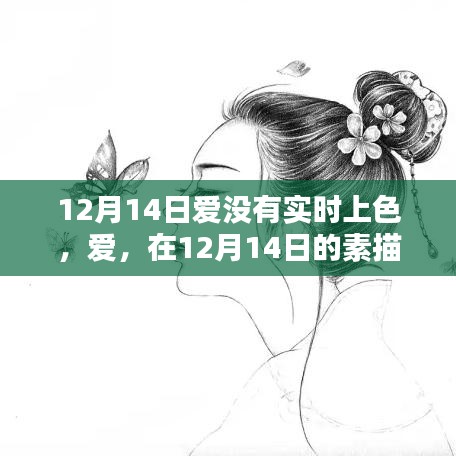 12月14日素描中的無聲之愛，悄然上色的浪漫情感