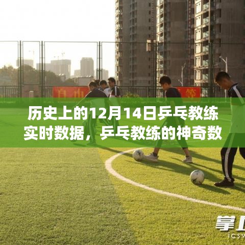 乒乓教練的神奇數(shù)據(jù)日，歷史回顧與溫馨故事