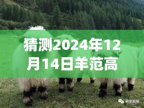 探秘羊范高速之旅，預測明日路況，啟程尋找寧靜港灣的實時路況展望（XXXX年XX月XX日）