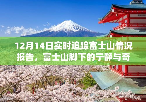 富士山實(shí)時(shí)追蹤報(bào)告，與自然共舞，探尋寧靜與奇跡的旅程