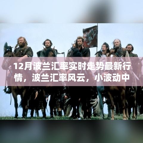 12月波蘭匯率實時走勢揭秘，小波動背后的溫情與風(fēng)云