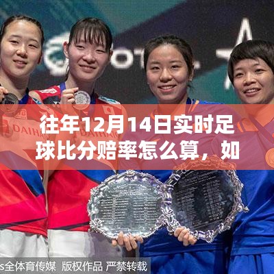 往年12月14日實時足球比分賠率詳解，計算步驟與指南