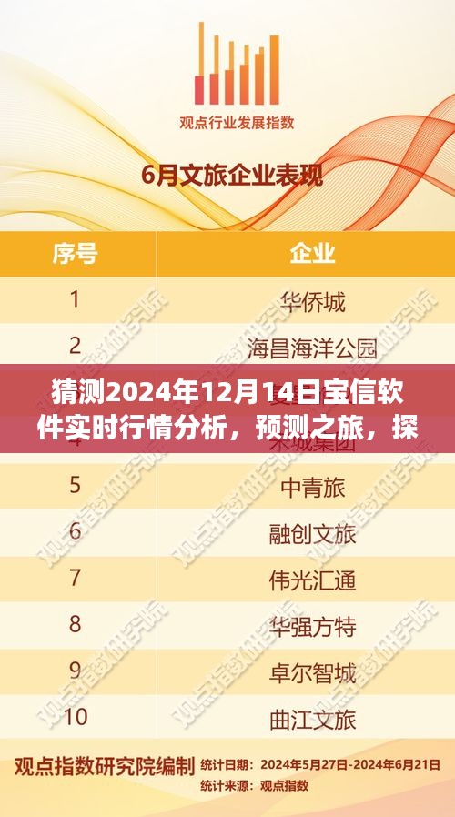 探索寶信軟件未來(lái)行情，預(yù)測(cè)之旅，分析寶信軟件在2024年12月14日的實(shí)時(shí)行情