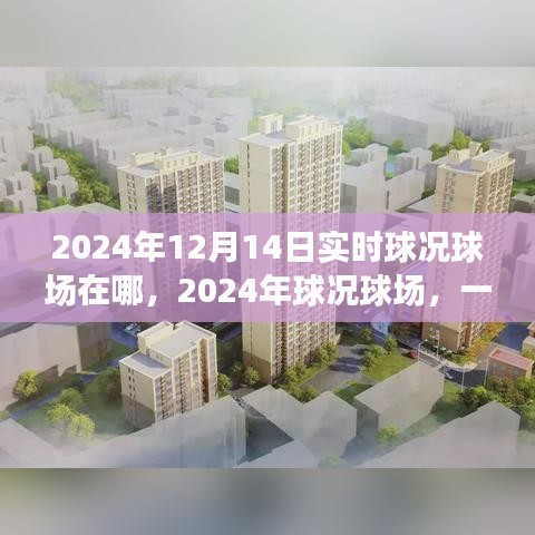 歷史與未來的交匯，揭秘2024年球況球場實(shí)時動態(tài)與地點(diǎn)