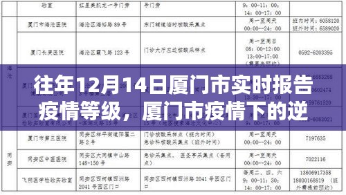 廈門市疫情逆襲之路，學習之光照亮前行之路的實時報告