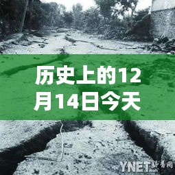 科技引領(lǐng)未來