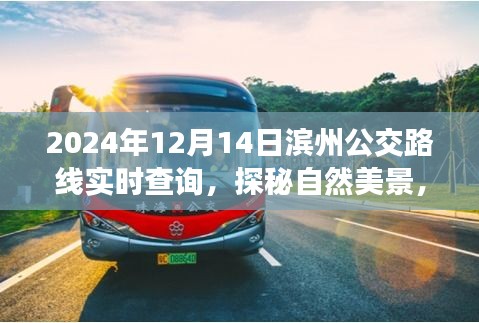 濱州公交路線實(shí)時(shí)查詢，啟程公交之旅，探尋自然美景與內(nèi)心寧?kù)o的交匯點(diǎn)