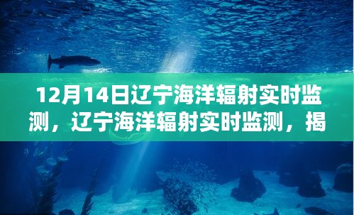 揭秘科技力量與環(huán)保責任，遼寧海洋輻射實時監(jiān)測詳解（要點詳解）