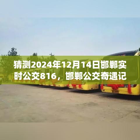 邯鄲公交奇遇記，揭秘與公交816的不解之緣，預(yù)測(cè)2024年12月14日實(shí)時(shí)動(dòng)態(tài)