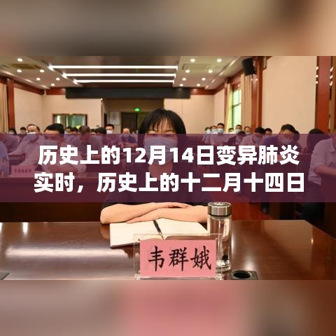 歷史上的十二月十四日，變異肺炎背后的勵(lì)志故事與成長(zhǎng)力量實(shí)時(shí)追蹤