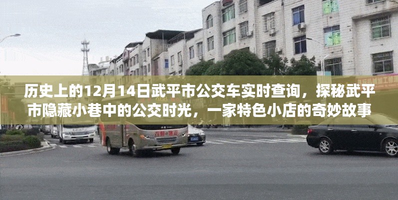 武平市公交探秘，歷史實時查詢與隱藏小巷的公交時光之旅特色小店故事