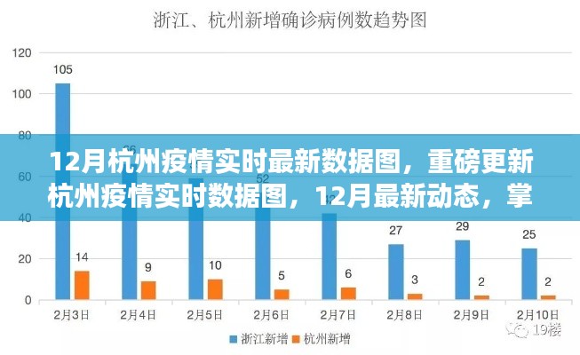 12月杭州疫情實(shí)時(shí)數(shù)據(jù)圖更新，掌握最新動(dòng)態(tài)，共筑健康防線